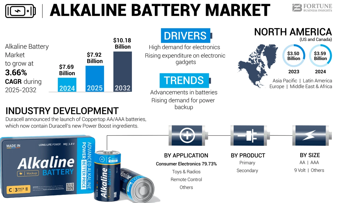 Alkaline Battery Market