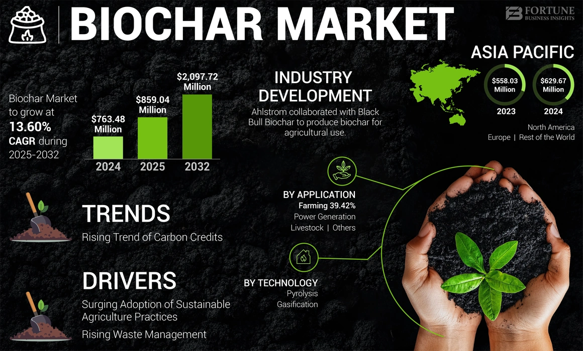 Biochar Market