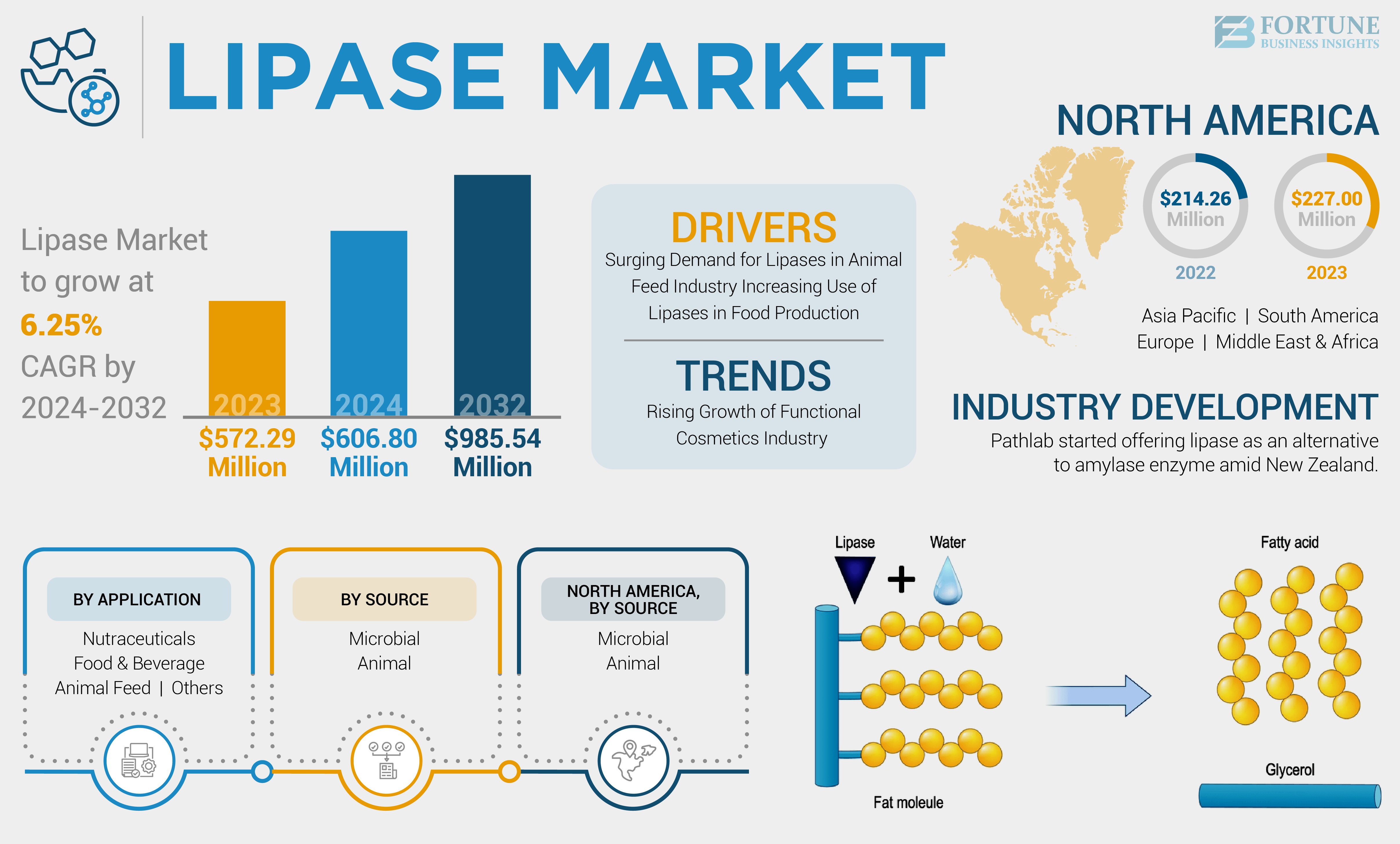 Lipase Market