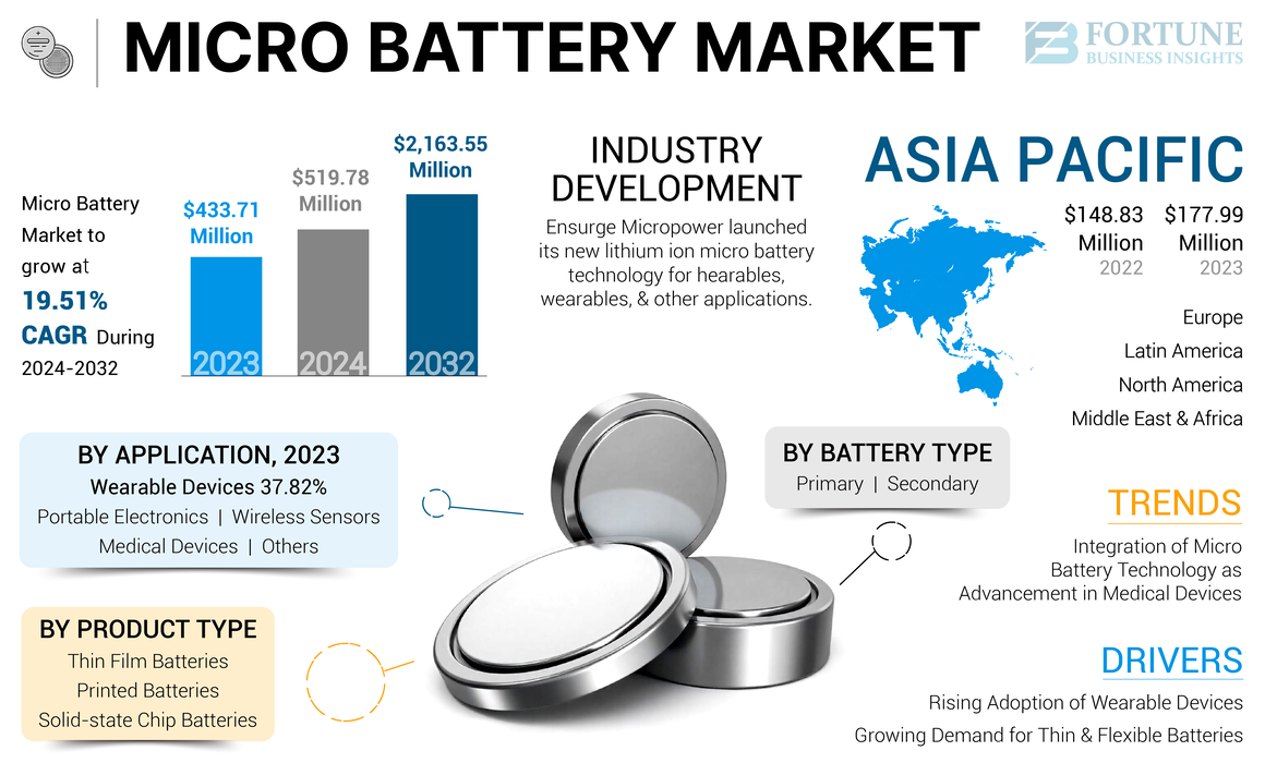 Micro Battery Market-2024