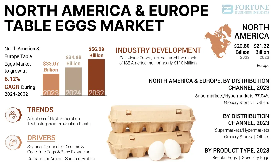 North America and Europe Table Eggs Market