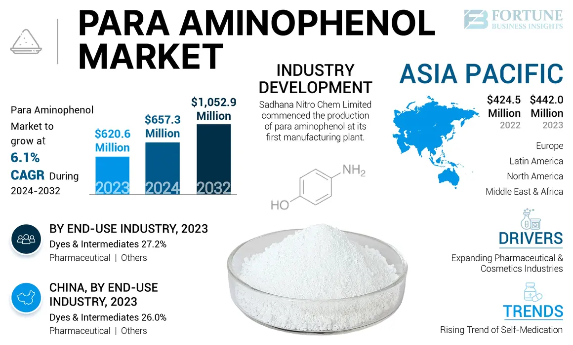 Para Aminophenol Market