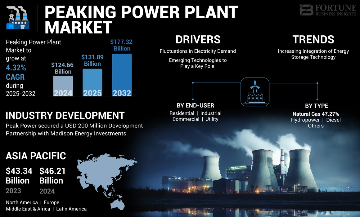 Peaking Power Plant Market