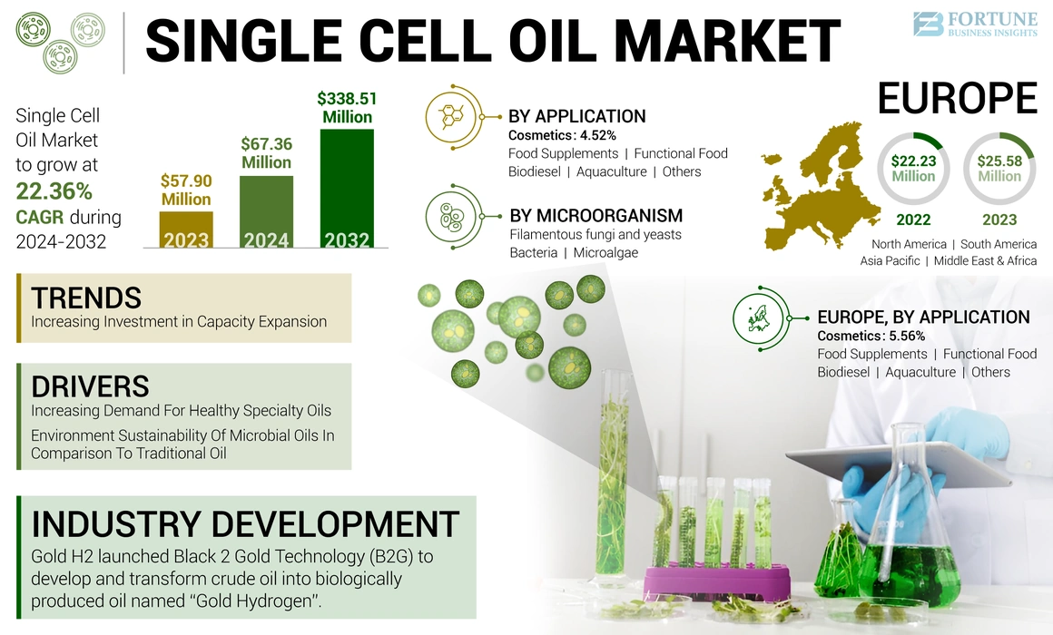 Single Cell Oil Market