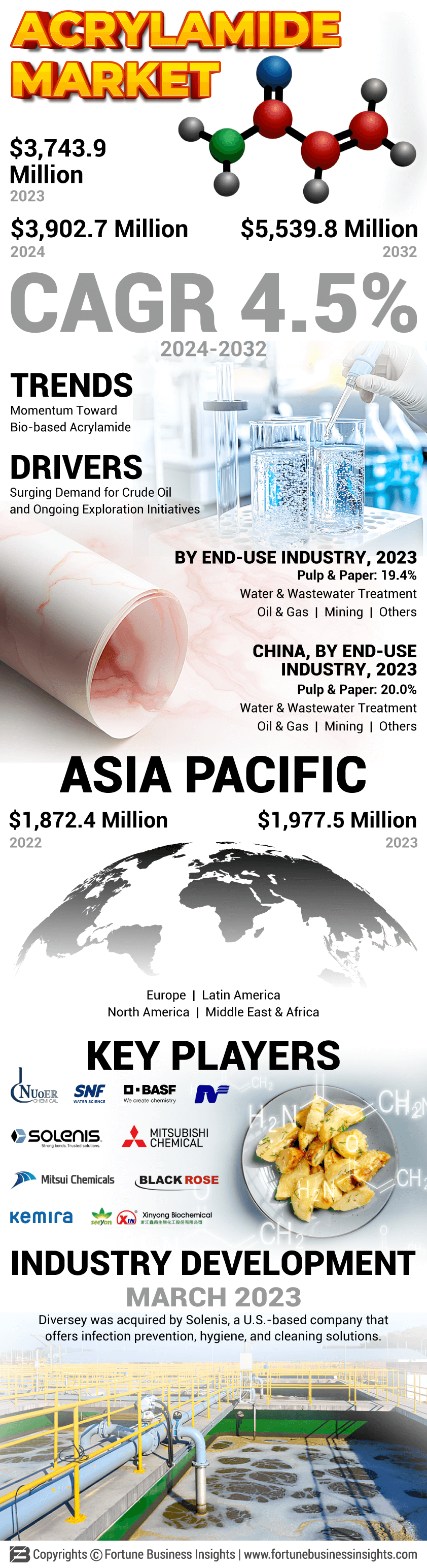 Acrylamide Market