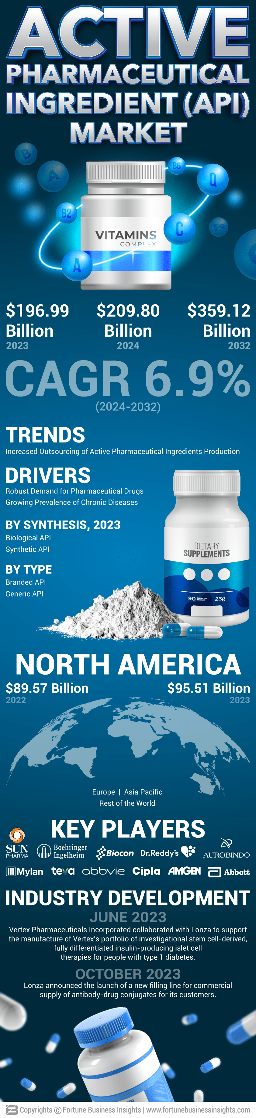 Infographics Active Pharmaceutical Ingredient API Market