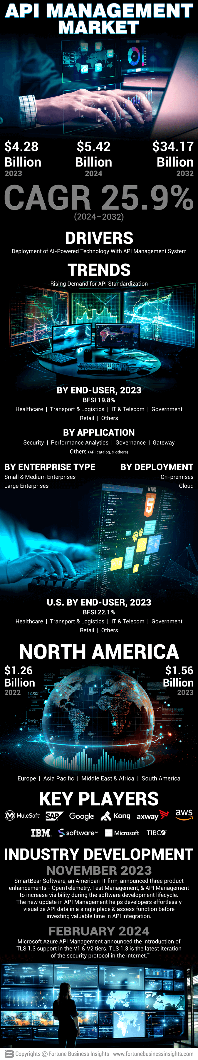 API Management Market