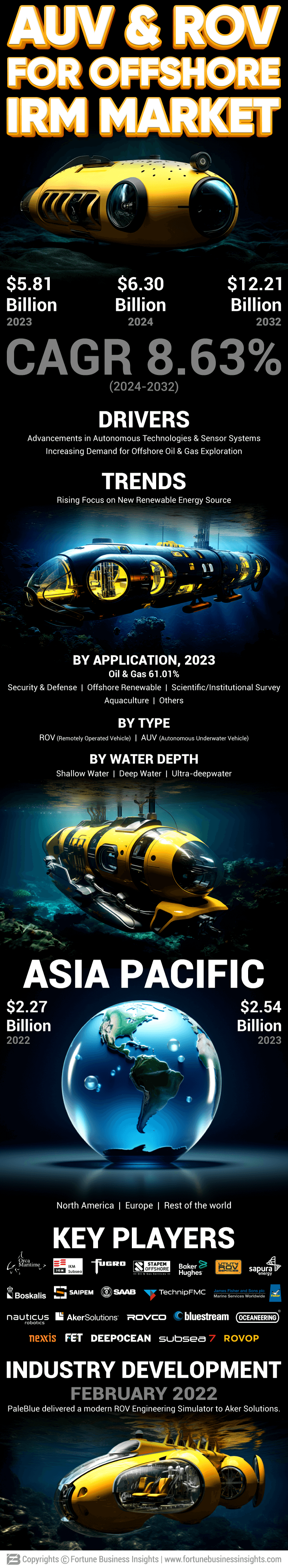 AUV & ROV for Offshore IRM Market