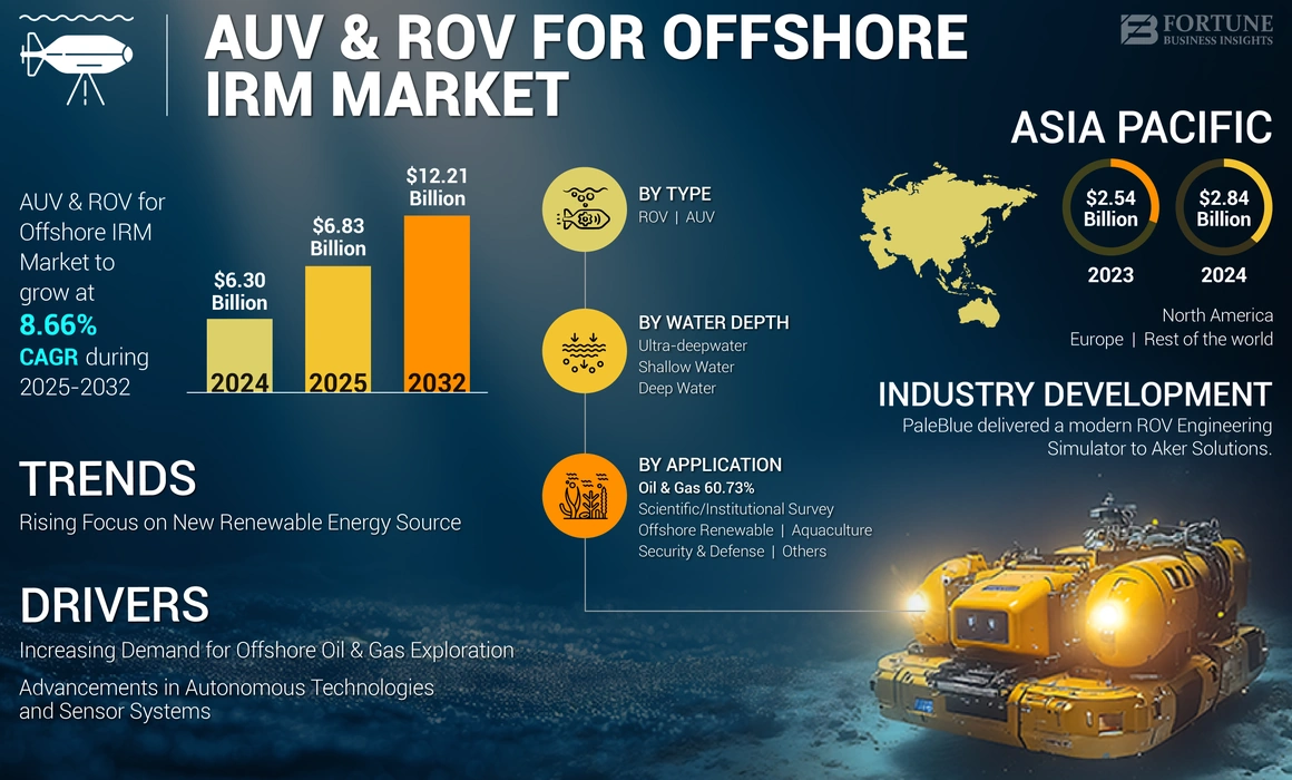 AUV & ROV for Offshore IRM Market