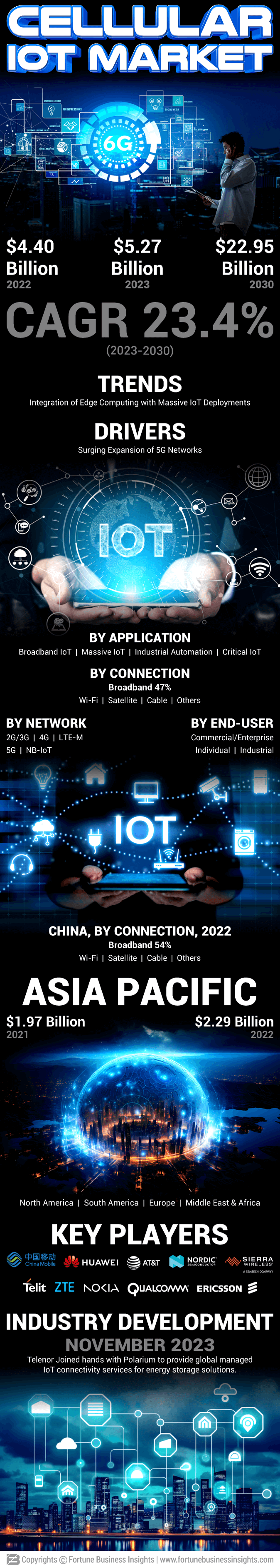 Cellular IoT Market