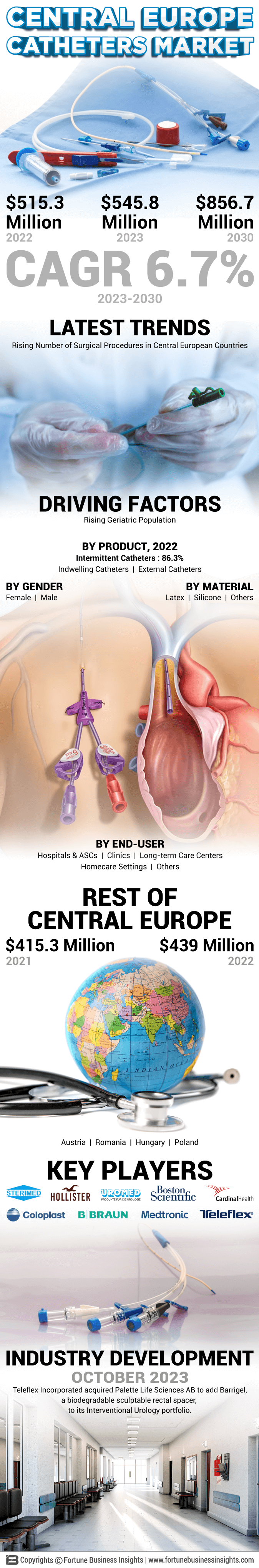 Central Europe Catheters Market