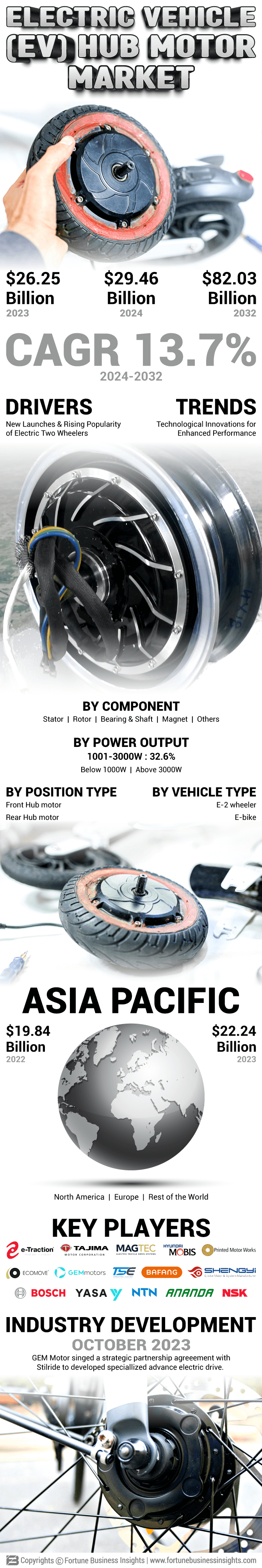 Electric Vehicle (EV) Hub Motor Market