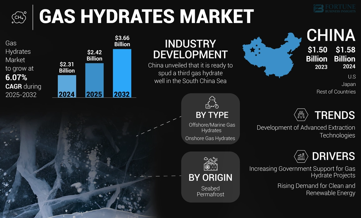 Gas Hydrates Market