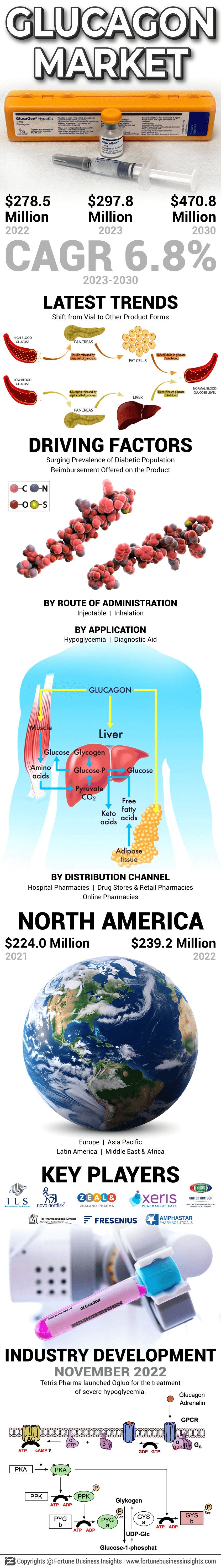 Glucagon Market