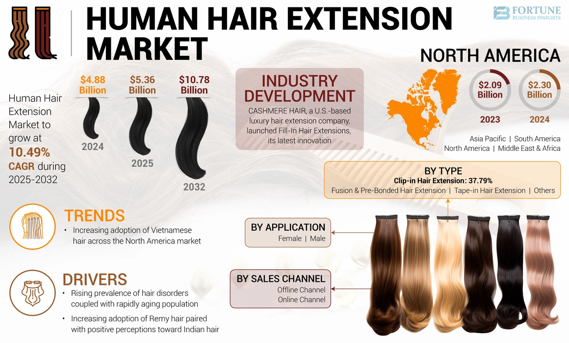 Human Hair Extension Market