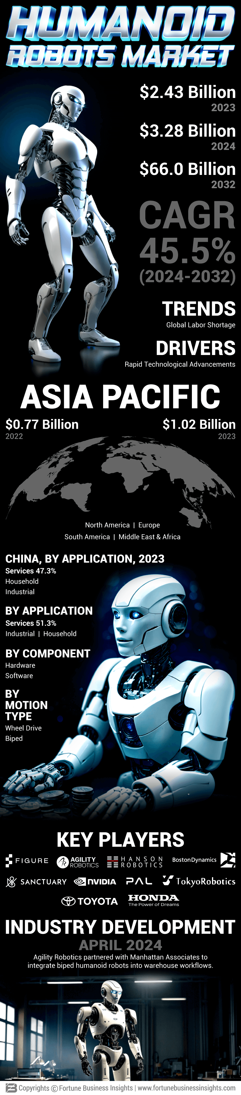 Humanoid Robots Market