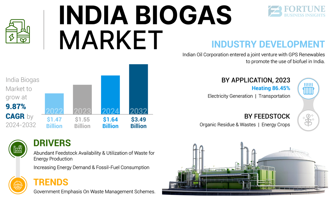 India Biogas Market