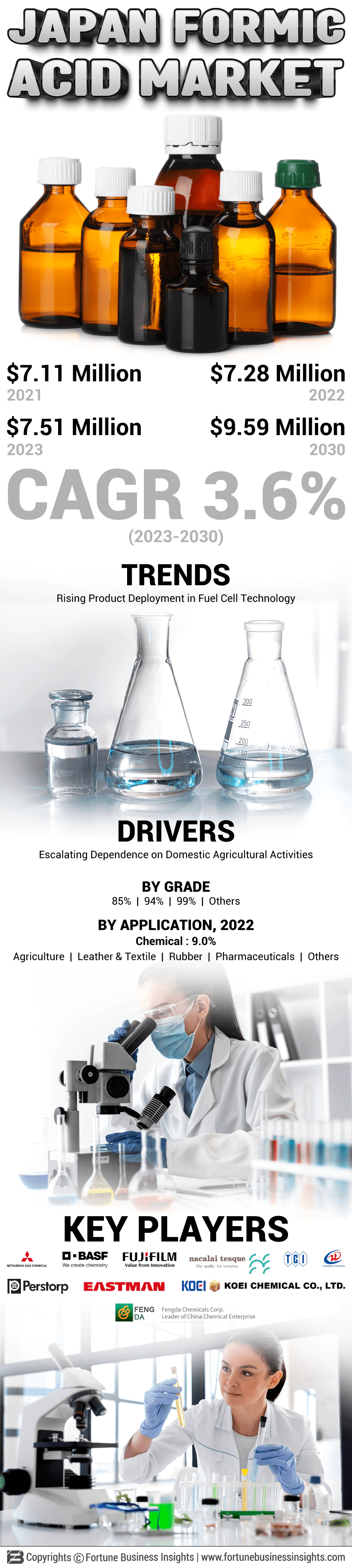 Japan Formic Acid Market