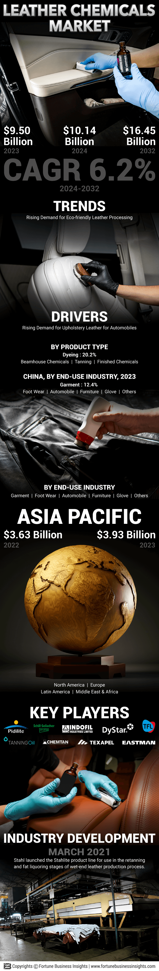 Leather Chemicals Market