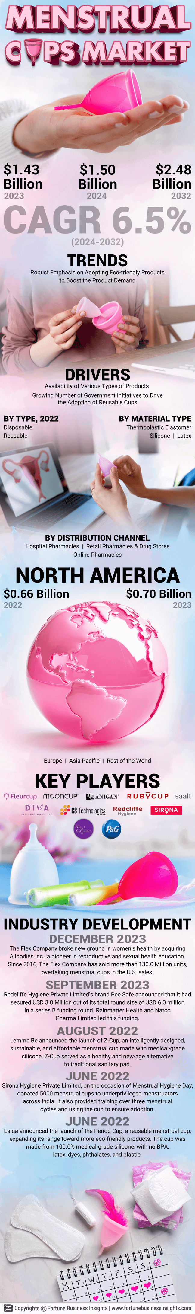 Menstrual Cups Market