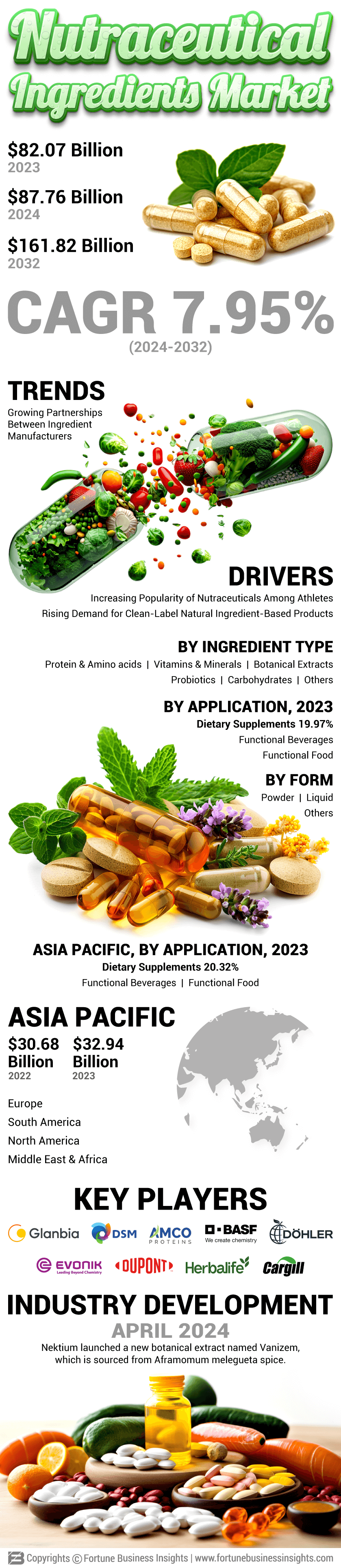 Nutraceutical Ingredients Market