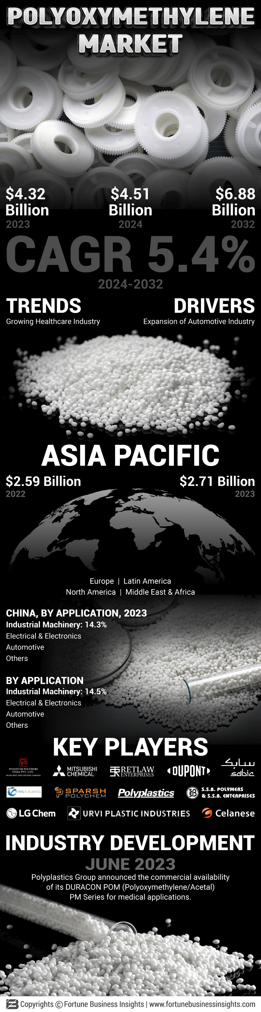 Polyoxymethylene Market