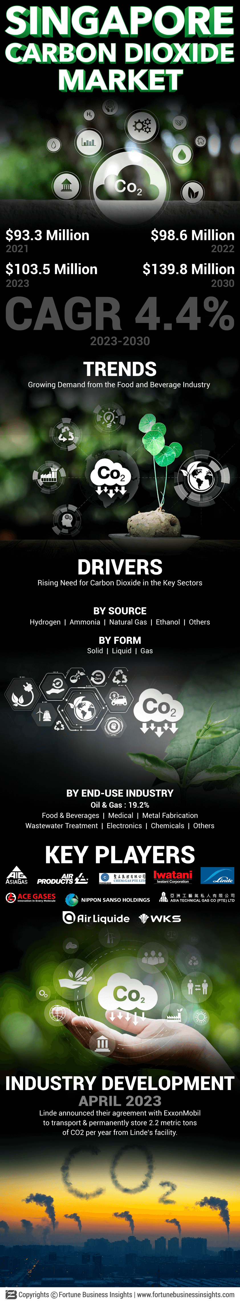 Singapore Carbon Dioxide Market