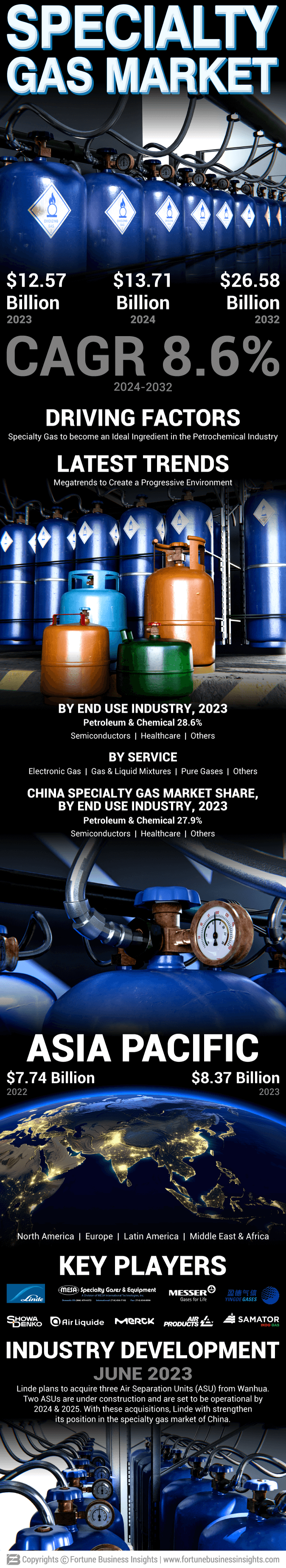 Specialty Gas Market