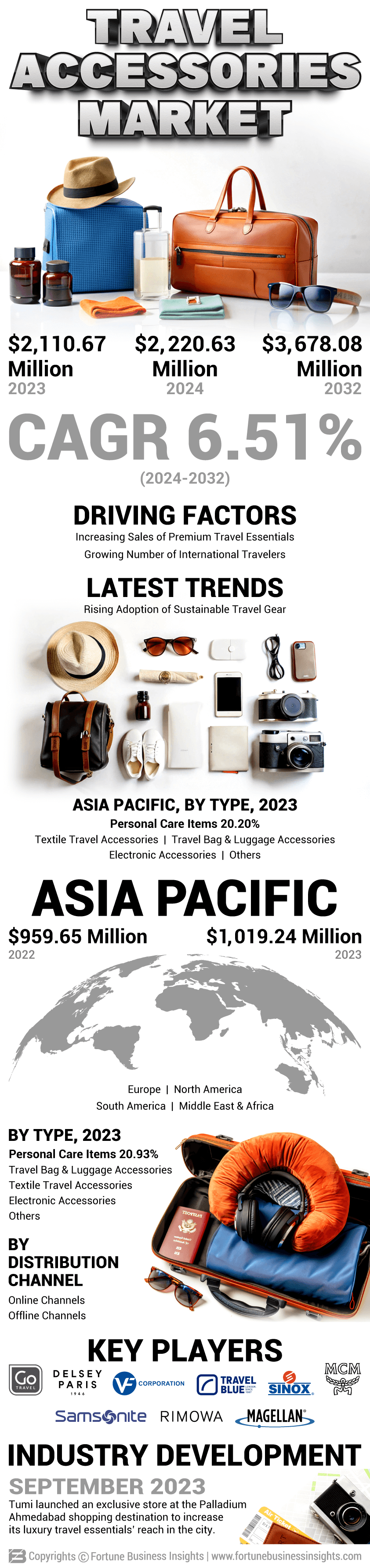 Travel Accessories Market