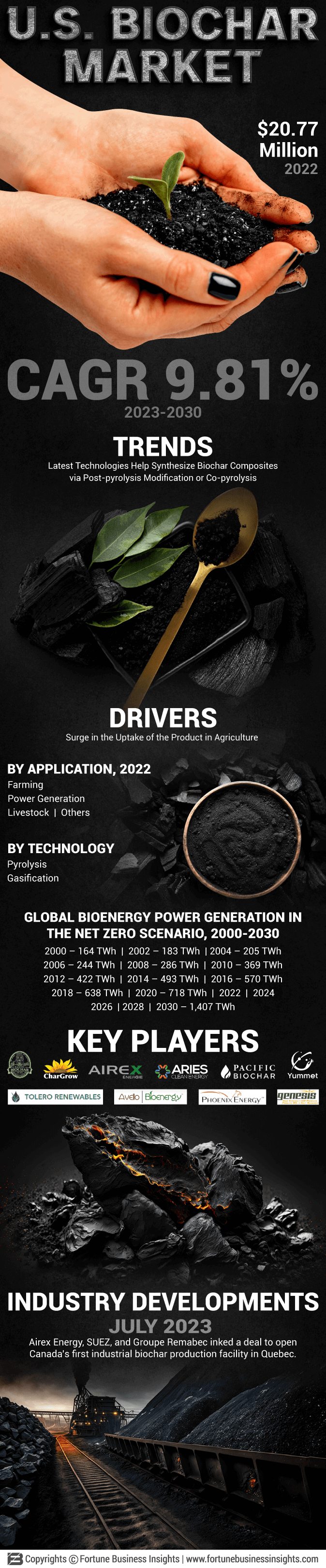 U.S. Biochar Market