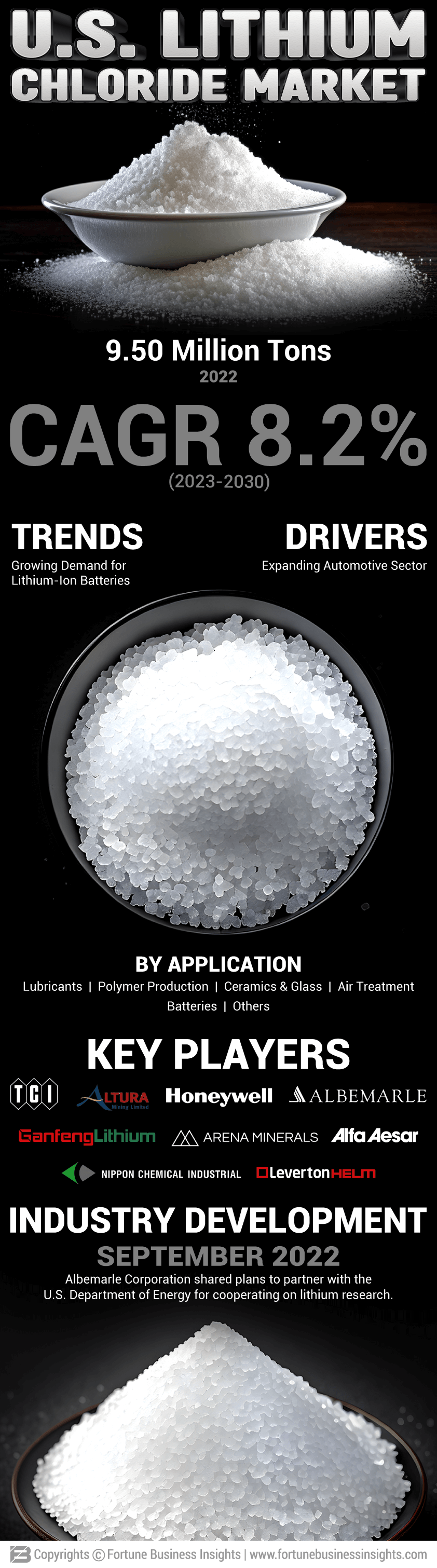 U.S. Lithium Chloride Market