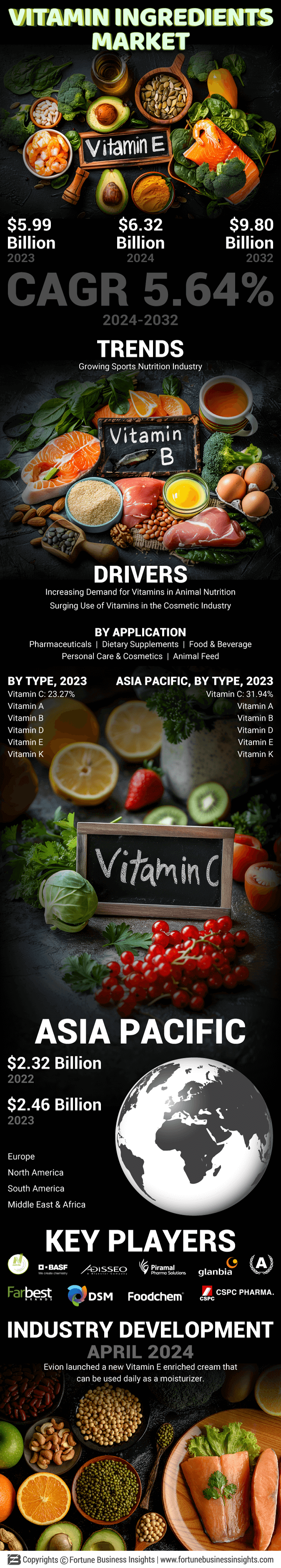 Vitamin Ingredients Market